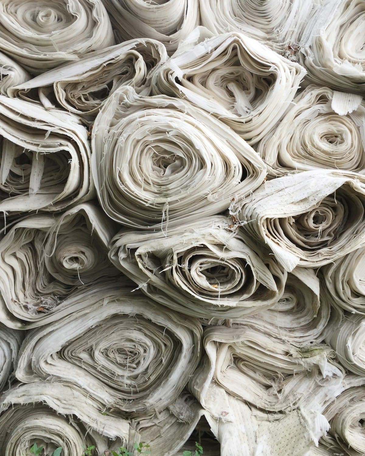 Cotton Poplin Fabric — 150cm Width, Roll