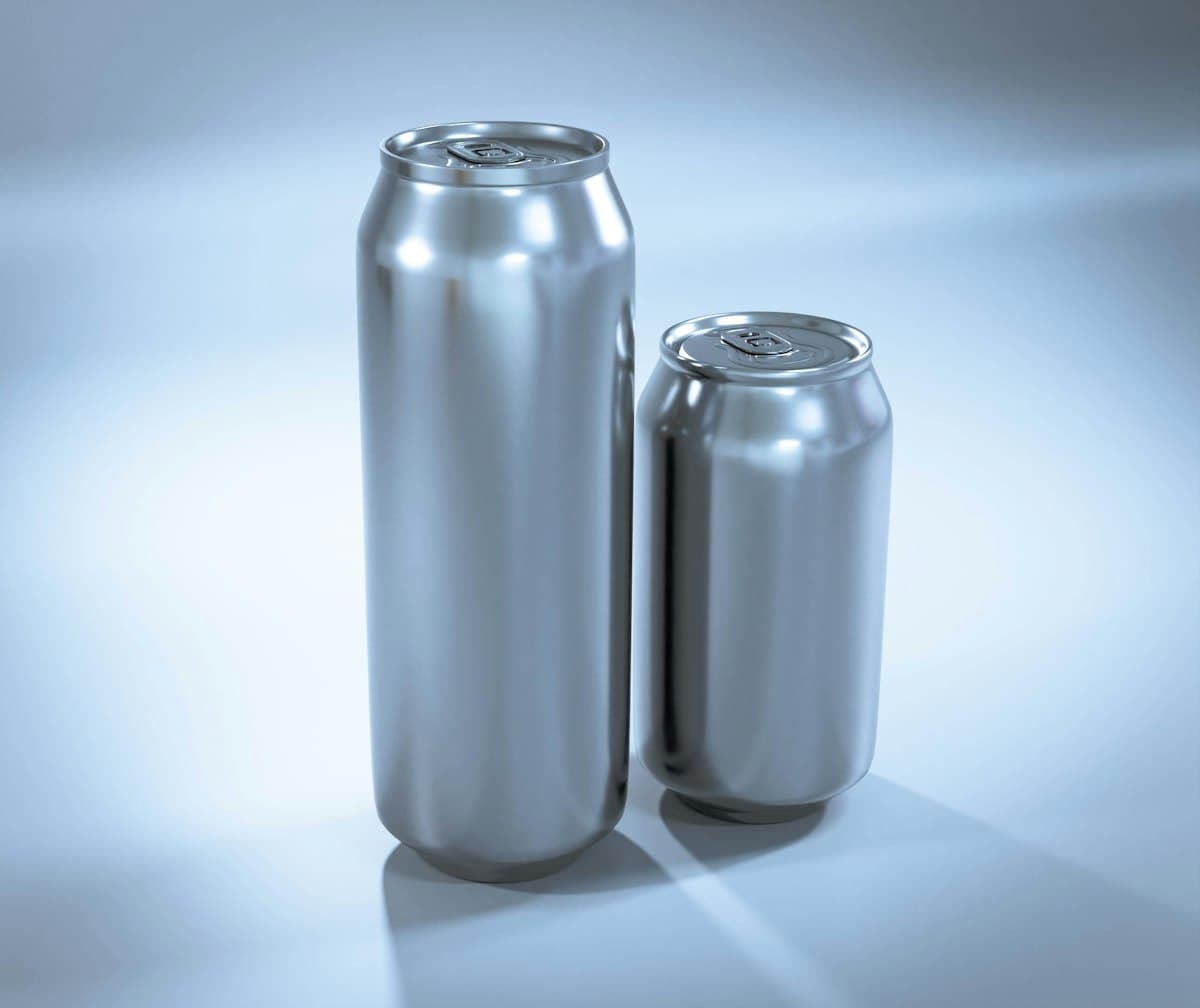Jus de fruits pétillant — canettes 330ml, lot de 24